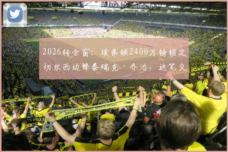 2026转会窗：埃弗顿2400万镑锁定切尔西边锋泰瑞克·乔治，这笔交易究竟值不值？